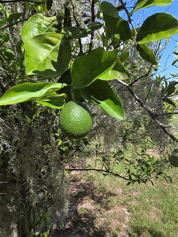 169 CLAY CUT CIRCLE, Haines City, FL 33844