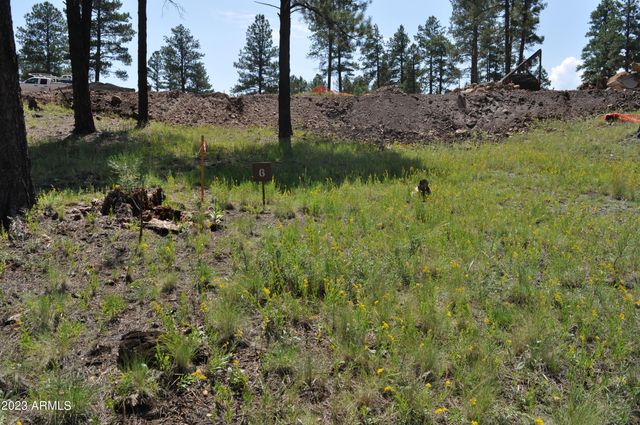 3337 S Ghost Tree Drive 6, Flagstaff, AZ 86005