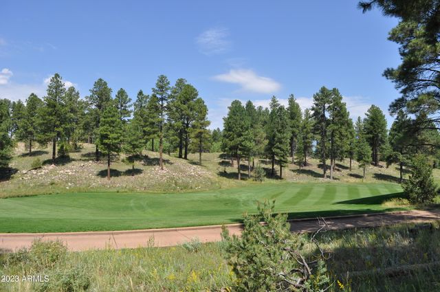 3337 S Ghost Tree Drive 6, Flagstaff, AZ 86005