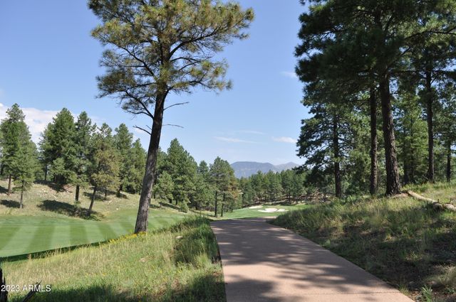 3337 S Ghost Tree Drive 6, Flagstaff, AZ 86005