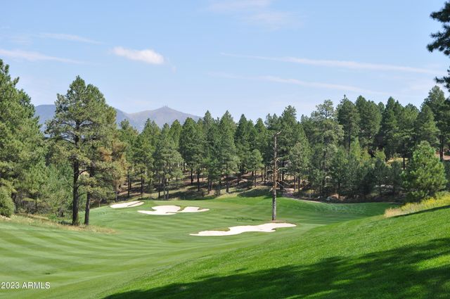 3337 S Ghost Tree Drive 6, Flagstaff, AZ 86005