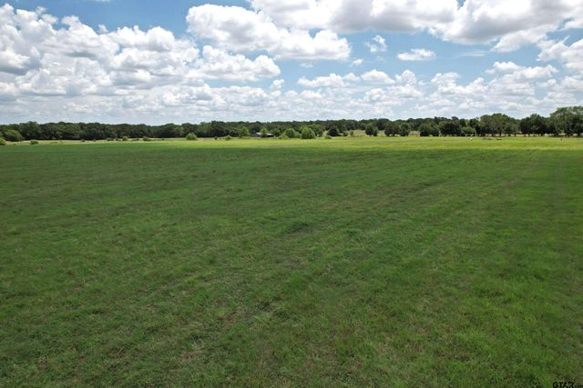 Lot 1 VZ CR 3208, Wills Point, TX 75169