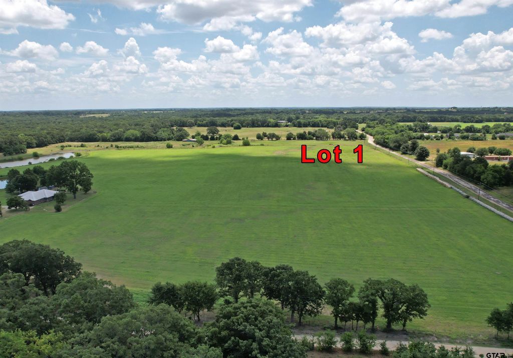 Lot 1 VZ CR 3208, Wills Point, TX 75169