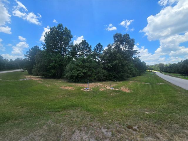 26131 Crown Ranch Boulevard, Montgomery, TX 77316