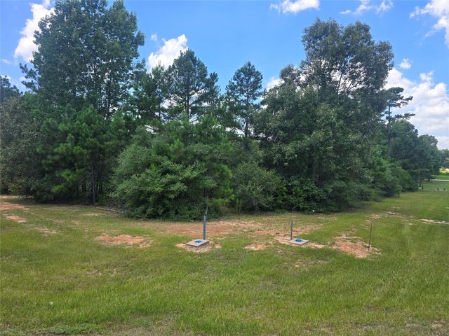 26131 Crown Ranch Boulevard, Montgomery, TX 77316
