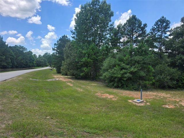 26131 Crown Ranch Boulevard, Montgomery, TX 77316