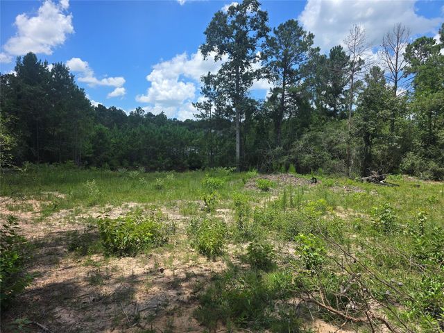 26131 Crown Ranch Boulevard, Montgomery, TX 77316