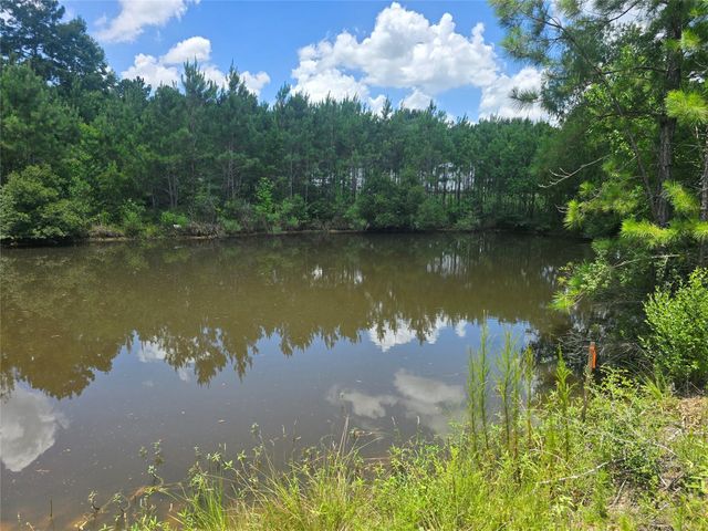26131 Crown Ranch Boulevard, Montgomery, TX 77316