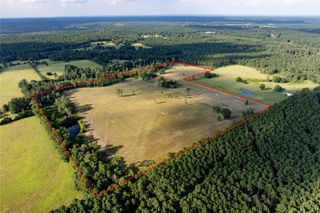 000 Cr 4600 80 Acres, Kennard, TX 75847