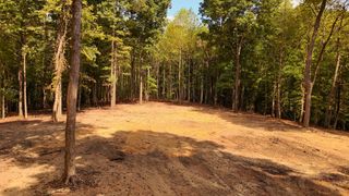 7950 Bill Moss Rd, White House, TN 37188