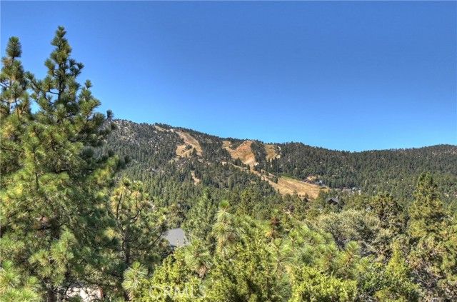43659 Wolf Road, Big Bear Lake, CA 92315