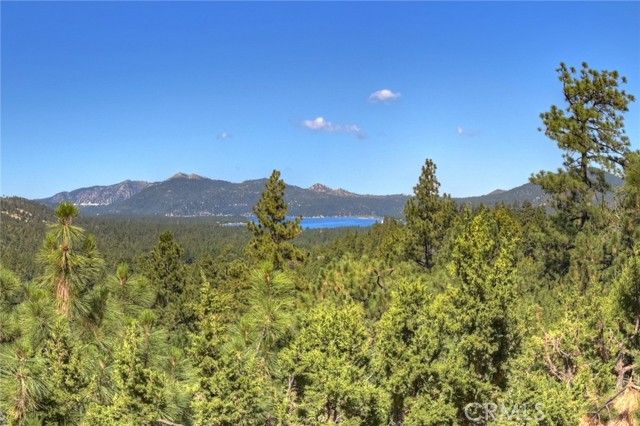 43659 Wolf Road, Big Bear Lake, CA 92315