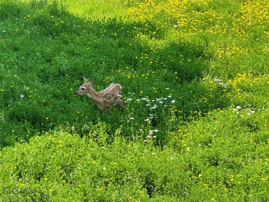 78 Lake Drive, Livingston, MT 59047 photo 82