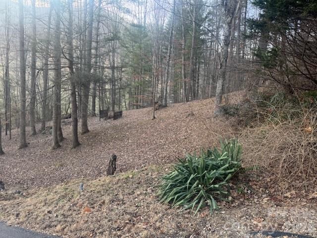 1372 Lickskillet Road, Burnsville, NC 28714