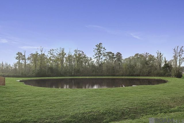 9150 Millikens Bend, Denham Springs, LA 70726