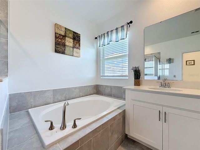 6013 CLAYSTONE WAY, Mount Dora, FL 32757