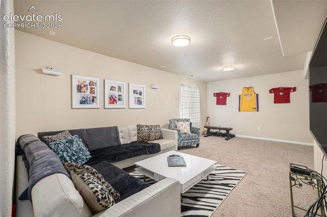 8317 Chasewood Loop, Colorado Springs, CO 80908