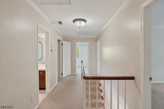 17 Cedar Rd, Readington Twp., NJ 08889