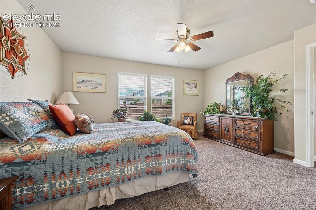 8202 Potentilla Grove, Colorado Springs, CO 80908 — photo 4