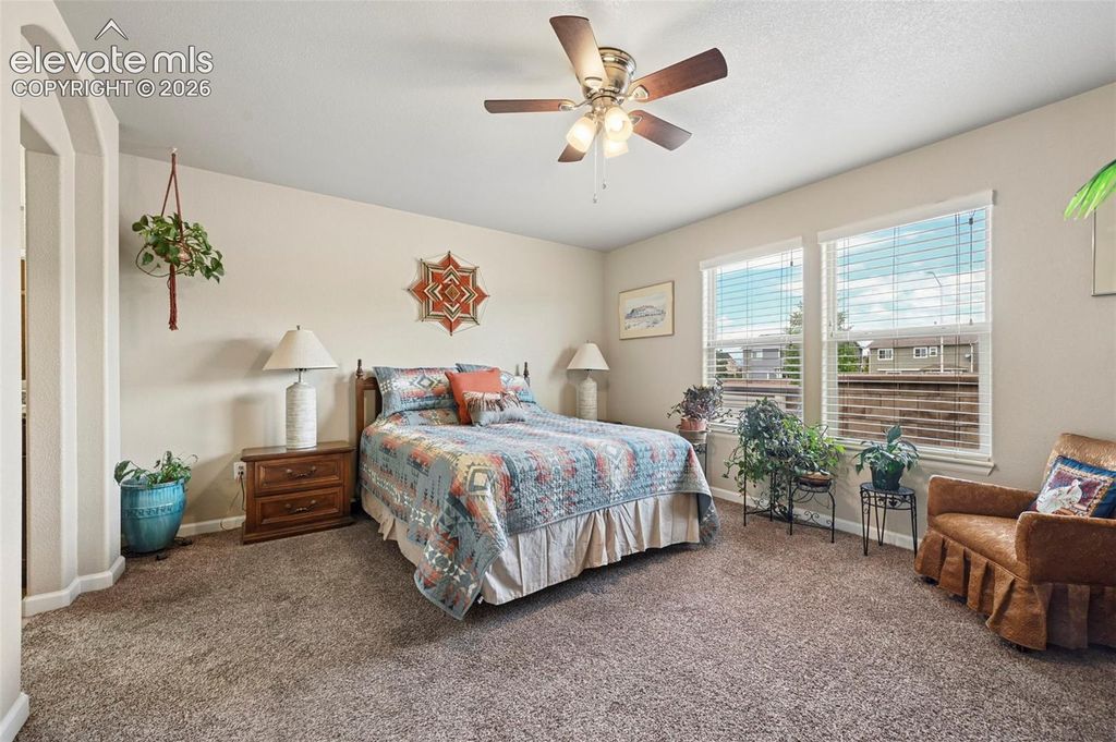 8202 Potentilla Grove, Colorado Springs, CO 80908 — photo 5