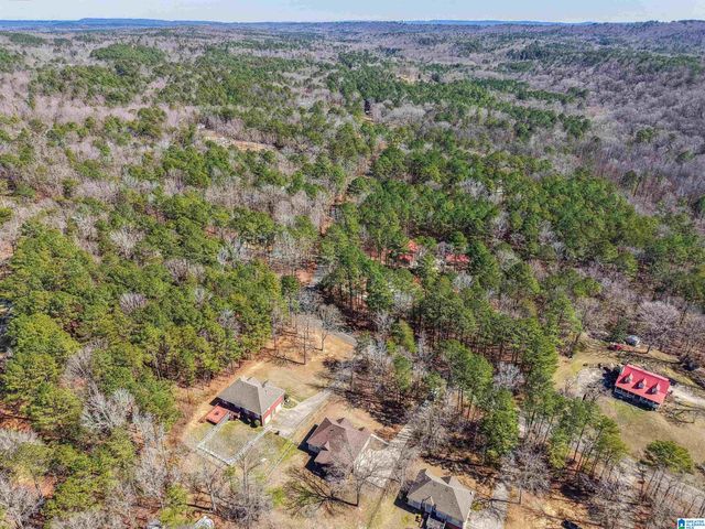 8441 BLUFF RIDGE ROAD, Bessemer, AL 35022