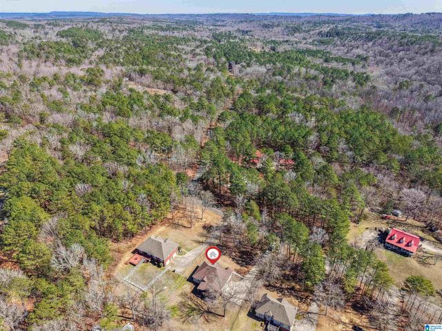8441 BLUFF RIDGE ROAD, Bessemer, AL 35022