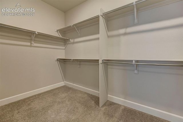 6312 Alyssum Heights, Colorado Springs, CO 80924