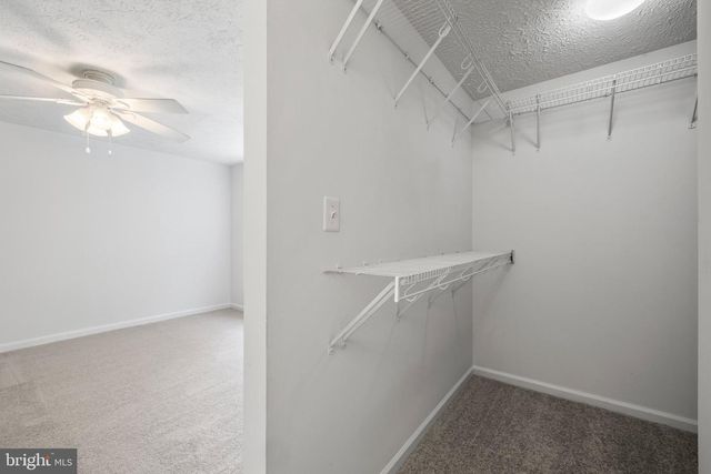14166 RED RIVER DR, Centreville, VA 20121