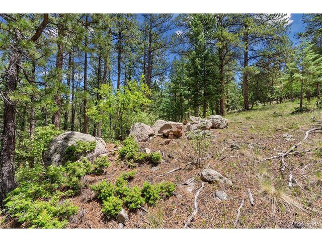 135 Linda Trl, Bailey, CO 80421