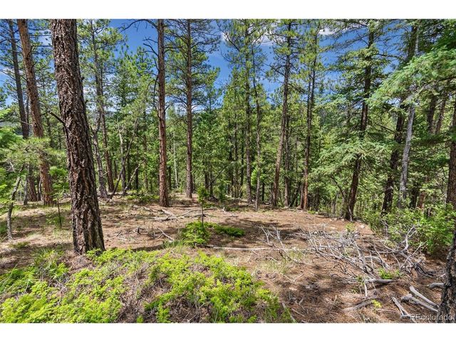 135 Linda Trl, Bailey, CO 80421