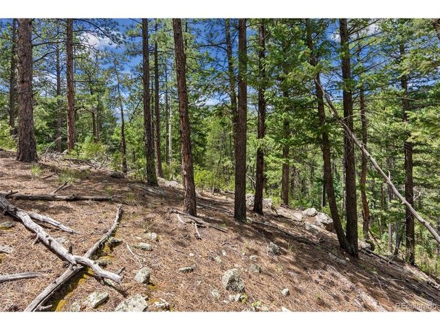 135 Linda Trl, Bailey, CO 80421