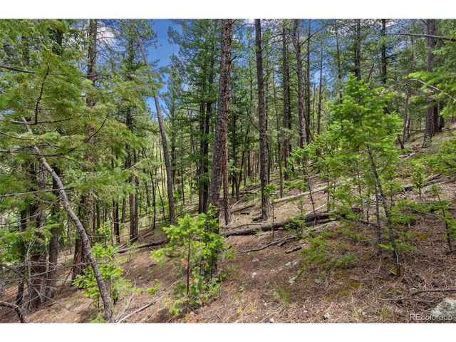 135 Linda Trl, Bailey, CO 80421