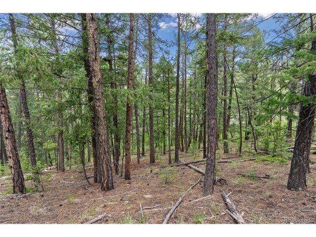 135 Linda Trl, Bailey, CO 80421
