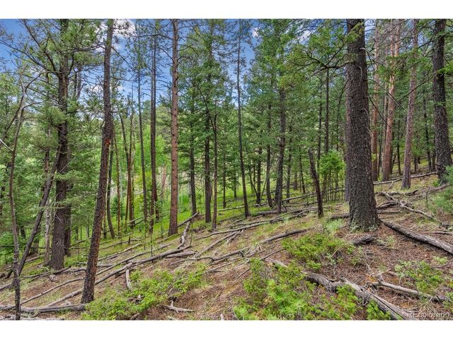 135 Linda Trl, Bailey, CO 80421