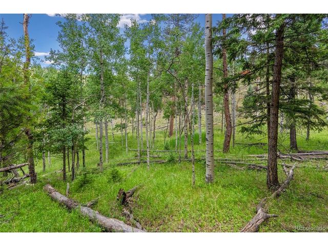 135 Linda Trl, Bailey, CO 80421