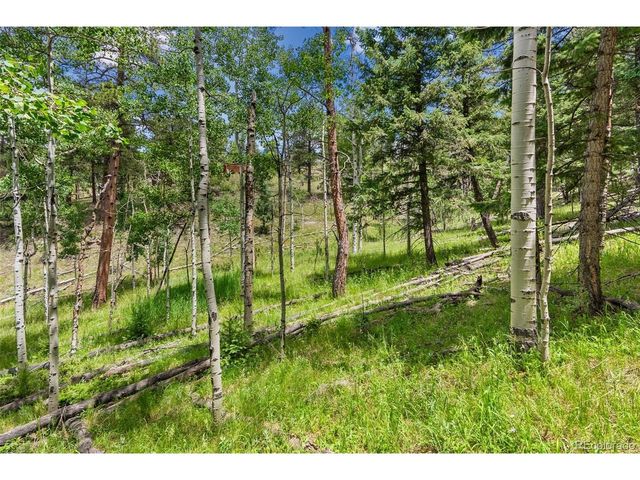 135 Linda Trl, Bailey, CO 80421