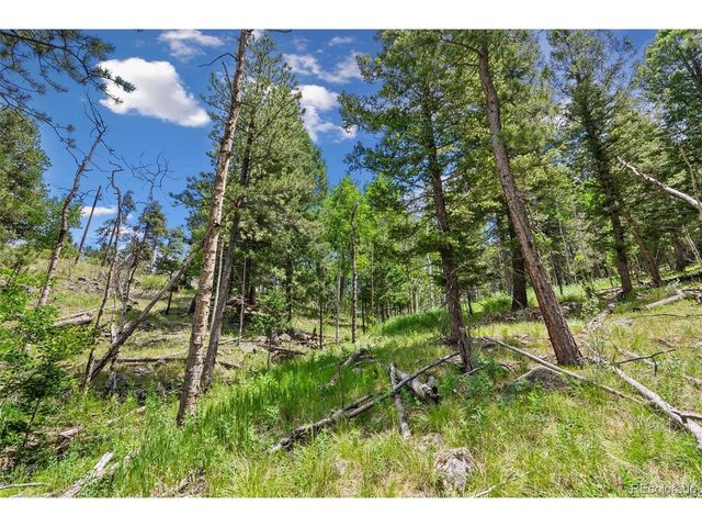 135 Linda Trl, Bailey, CO 80421