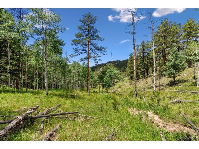 135 Linda Trl, Bailey, CO 80421