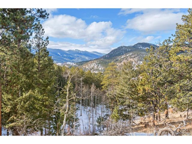 135 Linda Trl, Bailey, CO 80421