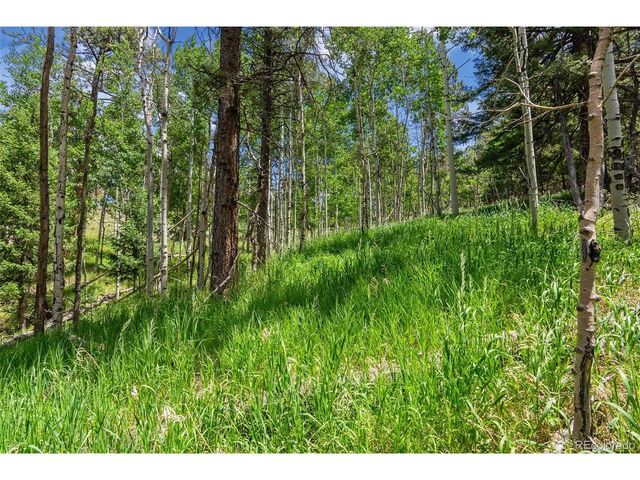135 Linda Trl, Bailey, CO 80421
