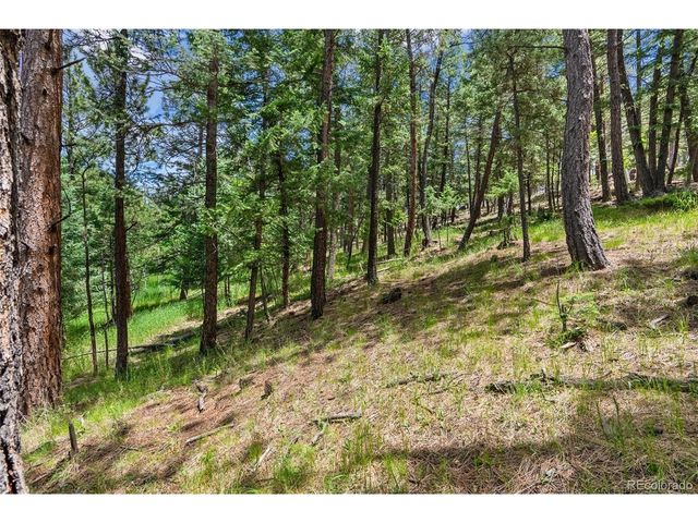 135 Linda Trl, Bailey, CO 80421