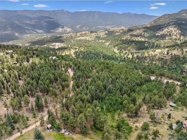 135 Linda Trl, Bailey, CO 80421