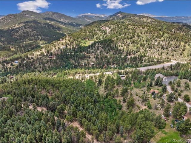135 Linda Trl, Bailey, CO 80421