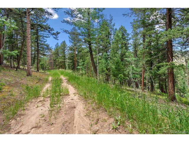 135 Linda Trl, Bailey, CO 80421