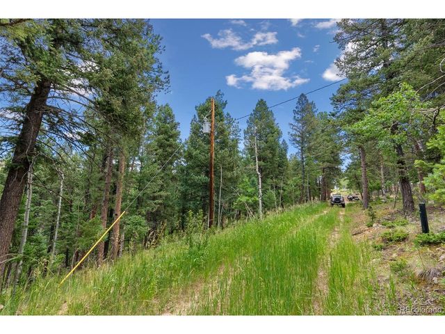 135 Linda Trl, Bailey, CO 80421