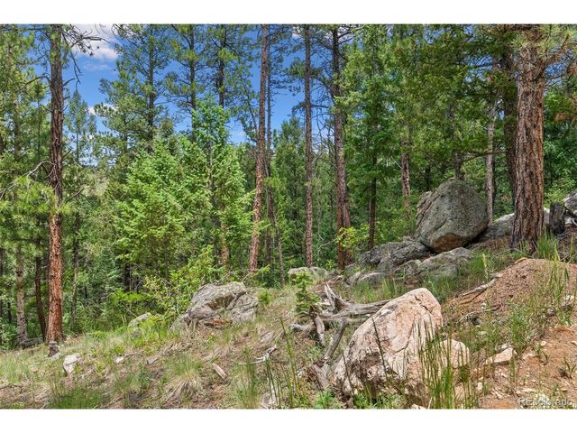135 Linda Trl, Bailey, CO 80421