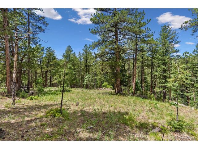 135 Linda Trl, Bailey, CO 80421