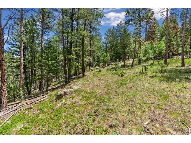 135 Linda Trl, Bailey, CO 80421