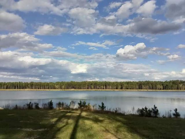 764 Maynard Lane, Summerville, SC 29486