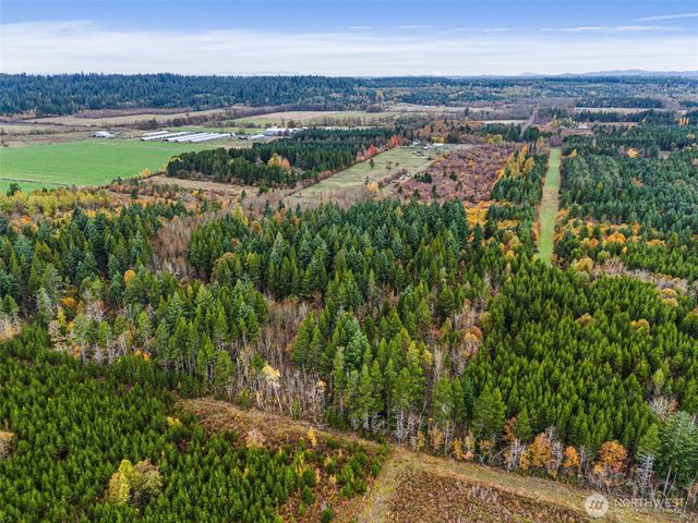 0 X Oyler Road, Toledo, WA 98591